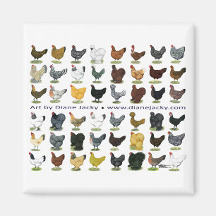 Aimant Quarante-huit Hen Promo