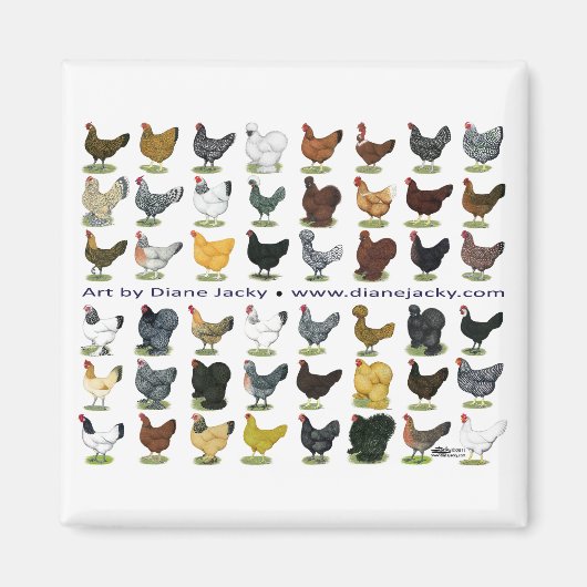 Aimant Quarante-huit Hen Promo (Devant)