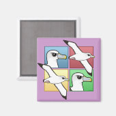 Aimant Quatre albatros couleur (Recto/Verso)