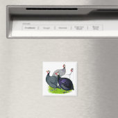 Aimant Quatre Guineas (In Situ (Lave-vaisselle))