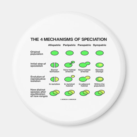 Aimant Quatre Mécanismes De Spécialisation (Évolution) (Devant)