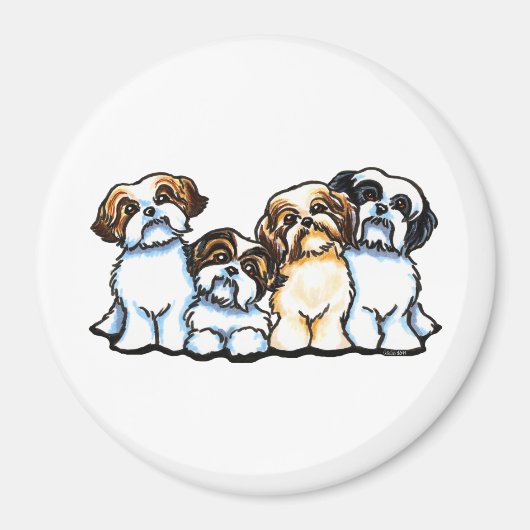 Aimant Quatuor Shih Tzu (Devant)