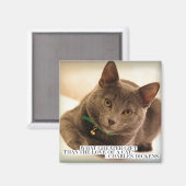 Aimant Quel cadeau plus grand que l'amour d'un chat ? (Recto/Verso)