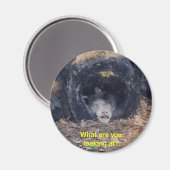 Aimant Quel Jour ! -magnet (Recto/Verso)