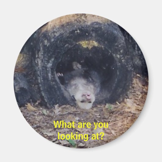 Aimant Quel Jour ! -magnet (Devant)