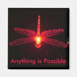 Aimant Quelque chose est possible