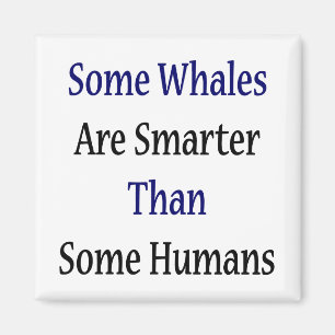 Aimant Quelques baleines sont plus futées que quelques
