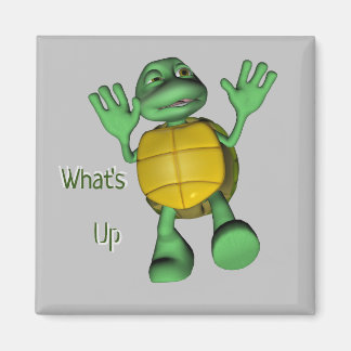 Aimant Qu'est-ce que l'aimant