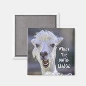 Aimant Qu'est-ce que le Prob-Llama ? Jote Drôle LLAMA (Recto/Verso)