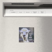 Aimant Qu'est-ce que le Prob-Llama ? Jote Drôle LLAMA (In Situ (Lave-vaisselle))