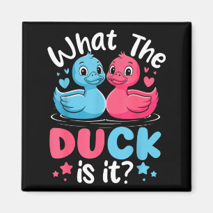 Aimant Qu'est-ce que les canards c'est la fête de révélat