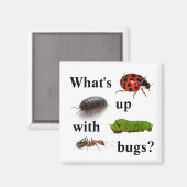 Aimant Qu'est-ce qui se passe avec les insectes ? l'aiman (Recto/Verso)