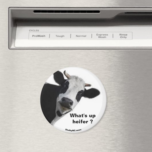 Aimant Qu'est-ce qu'il y a ? (In Situ (Lave-vaisselle))