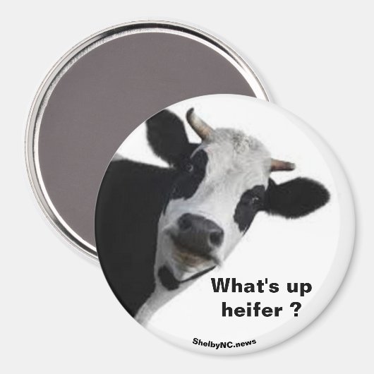 Aimant Qu'est-ce qu'il y a ? (Recto/Verso)