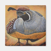 Aimant Queue (Devant)