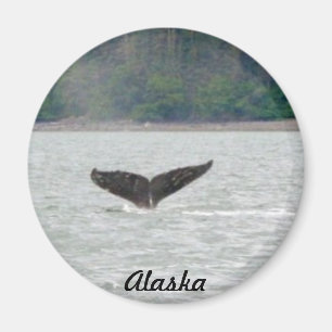 Aimant Queue de baleine de l'Alaska
