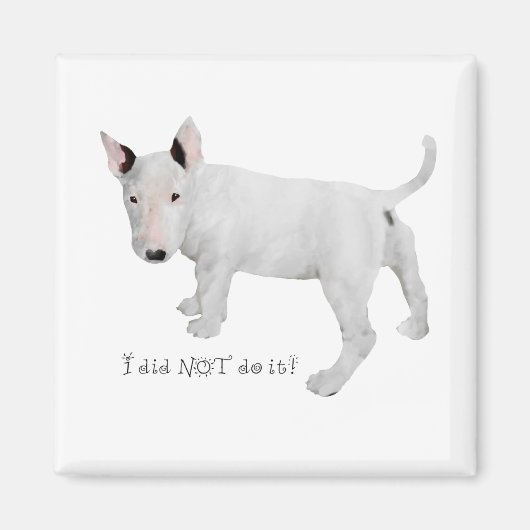 Aimant Qui, moi ? chiot Bull Terrier (Devant)