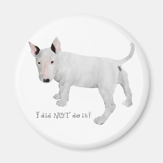 Aimant Qui, moi ? chiot Bull Terrier (Devant)