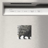Aimant Quilles de Porcupine (In Situ (Lave-vaisselle))