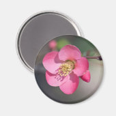Aimant Quince à fleurs roses parfaite (Recto/Verso)