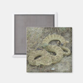 Aimant R20 Blessé par un serpent à sonnette des Prairies (Recto/Verso)