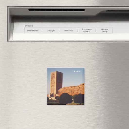 Aimant Rabat (In Situ (Lave-vaisselle))