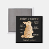 Aimant Rabbit Anatomy Bunny Lover Animal Pet Owner  (Recto/Verso)