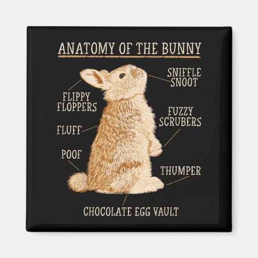 Aimant Rabbit Anatomy Bunny Lover Animal Pet Owner  (Devant)