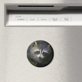 Aimant Raccoon (In Situ (Lave-vaisselle))