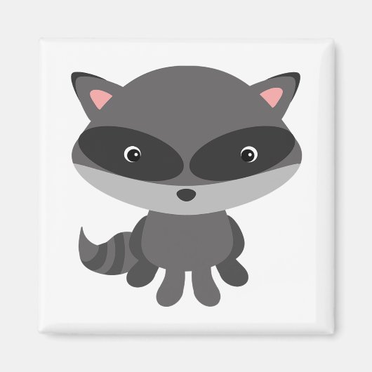 Aimant Raccoon (Devant)