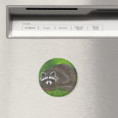 Aimant Raccoon (In Situ (Lave-vaisselle))