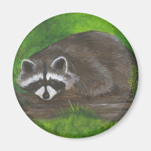 Aimant Raccoon (Devant)