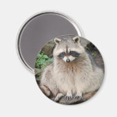 Aimant Raccoon (Recto/Verso)