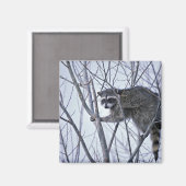 Aimant Raccoon (Recto/Verso)