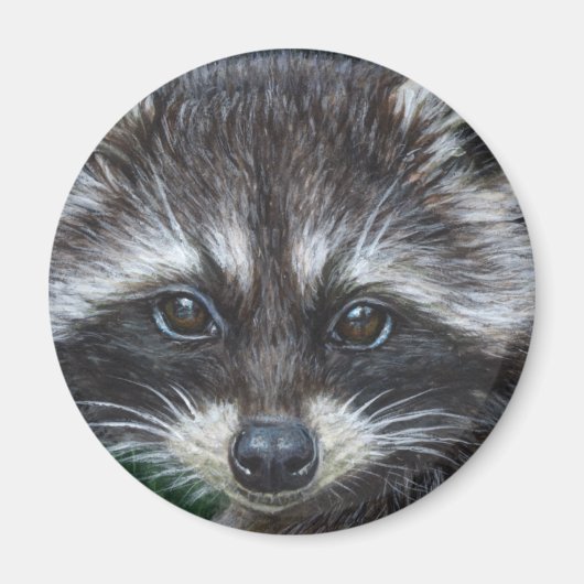 Aimant Raccoon #3 (Devant)