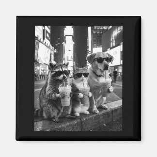 Aimant Raccoon Cat Dog Drinking Iced Coffee Funny Animal