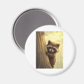 Aimant Raccoon Peek-a-Boo (Recto/Verso)