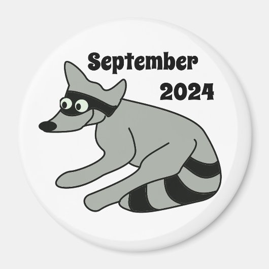 Aimant Raccoon, septembre 2024 (Devant)