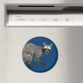 Aimant Raccoon surpris (In Situ (Lave-vaisselle))
