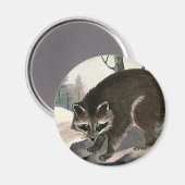 Aimant Raccoon vintage, Forêt Animale Sauvage Créatures (Recto/Verso)