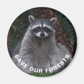 Aimant Raccoon Wildlife Photo Conservation de la forêt (Devant)
