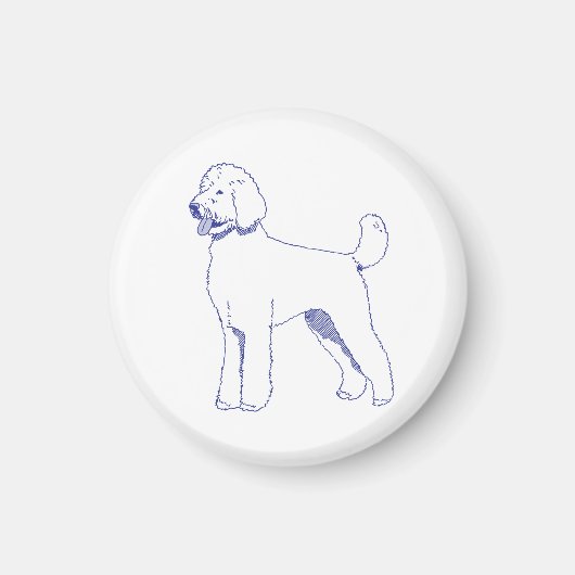 Aimant Race de chien Goldendoodle (Devant)