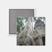 Aimant racines de prohm (Recto/Verso)