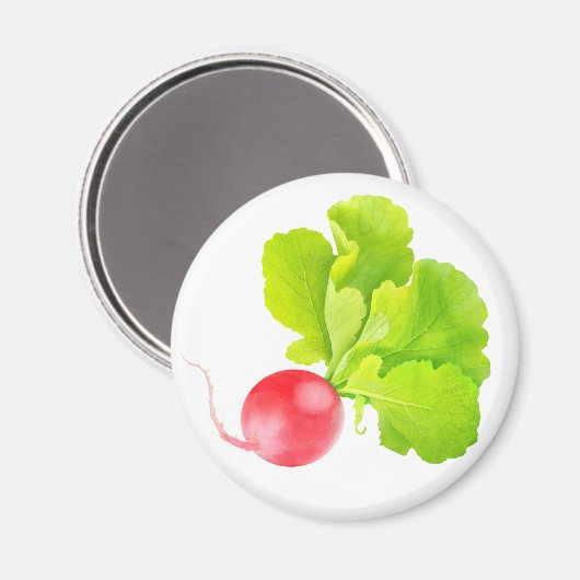 Aimant radis rouge (Recto/Verso)