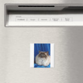 Aimant Ragdoll, point bleu (In Situ (Lave-vaisselle))