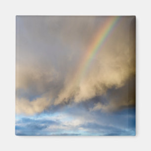 Aimant rainbow rebellion