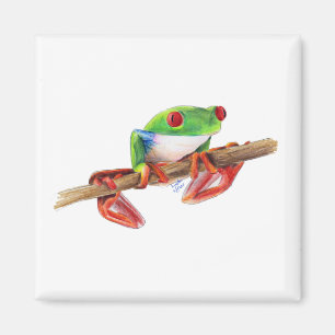 Aimant Rainette arboricole grenouille arboricole illustra