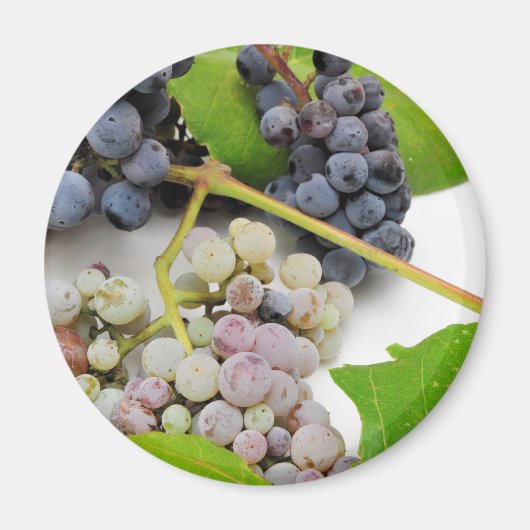 Aimant Raisin Sauvage Et Feuille (Devant)