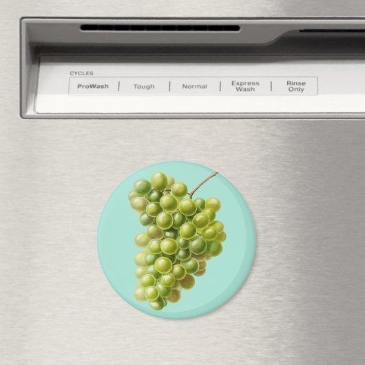 Aimant Raisins (In Situ (Lave-vaisselle))