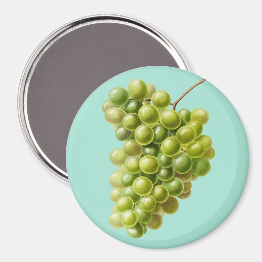 Aimant Raisins (Recto/Verso)